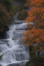 Autumn foliage maple leaves at Ryuzunotaki waterfall