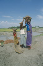 Male and female labourers working on embankment.