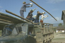 Tia minority women unloading bamboo from truck for use as roofing material.