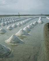 Salt pans outside Bangkok on the road to Ratchaburi