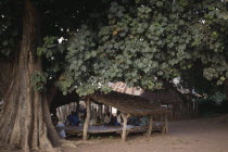 Village histories told by story teller Griot under the biggest tree in the village.