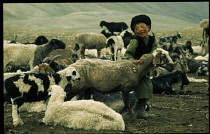 Nomadic Kirghiz child with sheep and goat herd.Kyrgyz Kirghiz