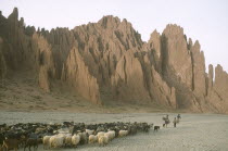 Shepherd woman returning home for the night with her flock of sheep and goats in area near Palala and Tupiza.