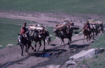 Kazakh migration from Spring to Summer pastures.  Adults and children on horses leading loaded camel train.