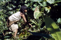 Kogi woman gardening.