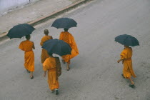 Looking down on group of Buddhist monks carrying black umbrellas crossing street.