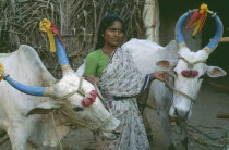 Woman leading pair of cattle adorned for festivalVijayanagar