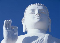 Large white seated Buddha.  Detail of head and raised hand.
