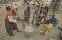 Women pounding millet in unison beside the village. Tereli