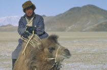 Mongol nomad returning to camp on camel back