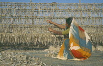 Drying fish on racks