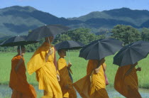Buddhist Monks walking in a group holding umbrellas