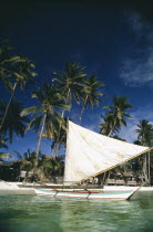 Sailboat moored on the beach lined with tall palms and beach huts