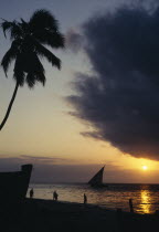 View over beach with overhanging palm and people with silhouetted dhow at sunset