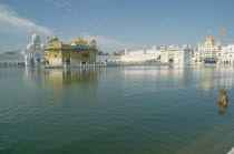 Sikh man praying in the sacred pool surrounding the Golden Temple.