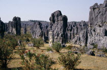 The Stone Forest  near Kunming. Grey limestone rock pinnacles across the landscape