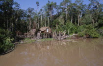 Riverside stilt houses in small clearing