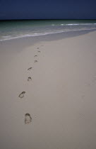 Footprints in sand at the waters edge.