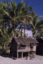 Melco thatched wooden beach house on stilts with tall palms behind