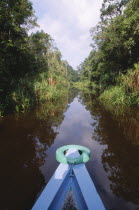 View down a small jungle river with the bow of the boat in the foreground