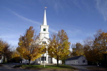 White church with clock on spire and tall columns at entrance   golden leaves on trees.  foliageautumn  foliageautumn