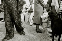 A child watches as the crowd passes wearing fancy dress during a festival  black dog on a lead.  Black and white image.
