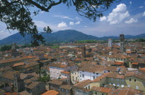 View across red tiled rooftops of town part framed by tree branches.