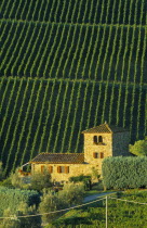 Farmhouse and vineyards near Panzano.