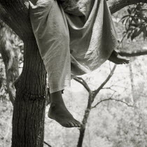 A young male Indian orphan sits in a tree in a cobra-infested piece of farmland.   branchbranchesfeetlegspoor