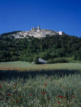 The village on side of a hill  surounded by trees   viewed over field of grass and red flowers    castle