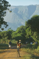 People walking along path in area of tea growing and subsistence farming with Mount Mulanje in the distance.Also has limited tourist industry based around trekking