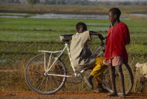 Two boys with a bicycle and a paddy field behind.