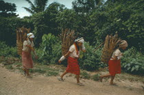 Red Karen tribeswomen carrying baskets of firewood.