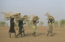 Women carrying bundles of firewood on their heads.