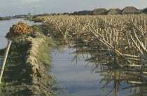 Bamboo cages and bricks used to slow riverbank erosion.