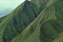 Heavily deforested landscape.