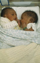 One week old African twins in cot together and communicating. interaction