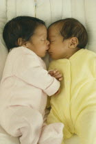 Seven week old fraternal twins in cot  facing each other with hands and faces touching.interaction