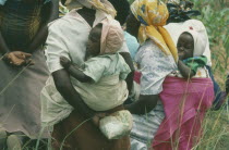 Members of a woman s agricultural co-operative  carrying their children on their backs.