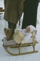 Wrapped up baby and Yorkshire Terrier on wooden sledge on snow covered ground.