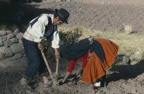 Taquile.  Husband and wife using Incan plough to plant potatoes.