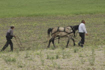 Romanian farmer and his farmhand weeding the fields with a horse drawn weeding machineRural farming poverty