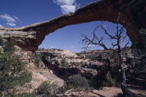 Natural Bridges National Monument. View of Owachomo Bridge spanning 180ft over Armstrong CanyonCenter Centre
