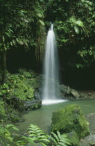 The Emerald Pool waterfall entering rainforest surrounded pool