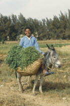 Man with a donkey carrying crops