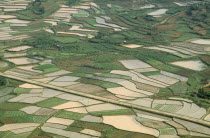 Aerial view over paddy fields in various stages of cultivation  distant man on road passing through centre.
