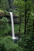 Silver Springs State Park. Waterfall surrounded by lush forest