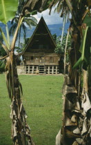 Wooden Batak house with pointed roof on Samosir Island seen through banana trees
