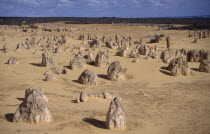 The Pinnacles. View  over the desert landscape with scattered limestone pillars
