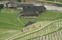 Farmer in rice terrace paddy with farm bulidings and river below  rice terraces